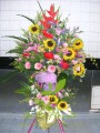 花籃012