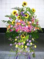 花籃010